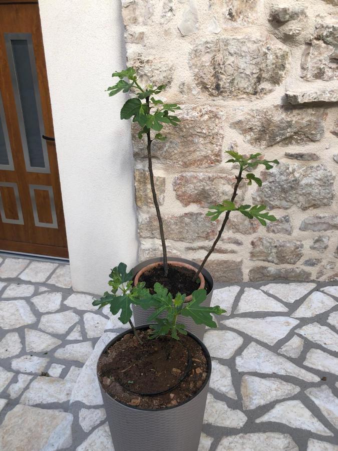 Old Town Apartment Mare Hvar Town Kültér fotó